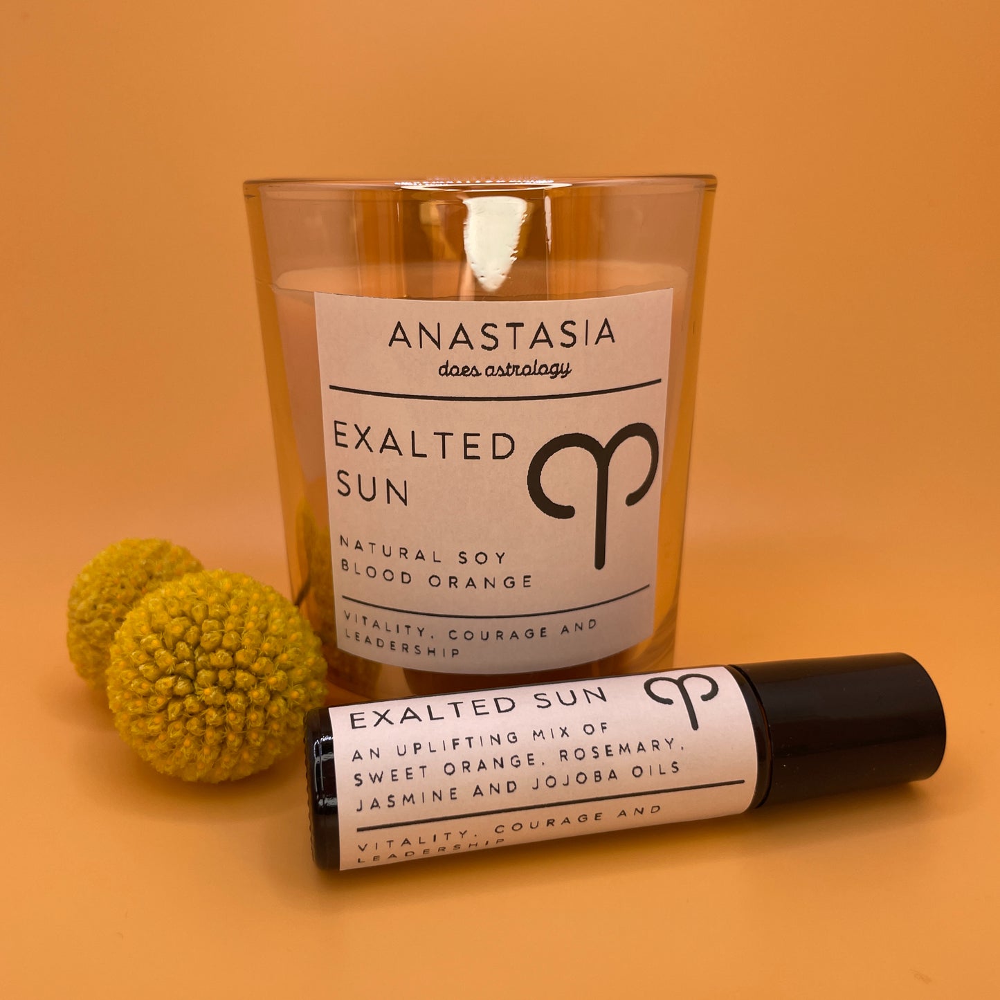 "Exalted Sun" Bundle